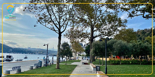 بيبك اسطنبول
